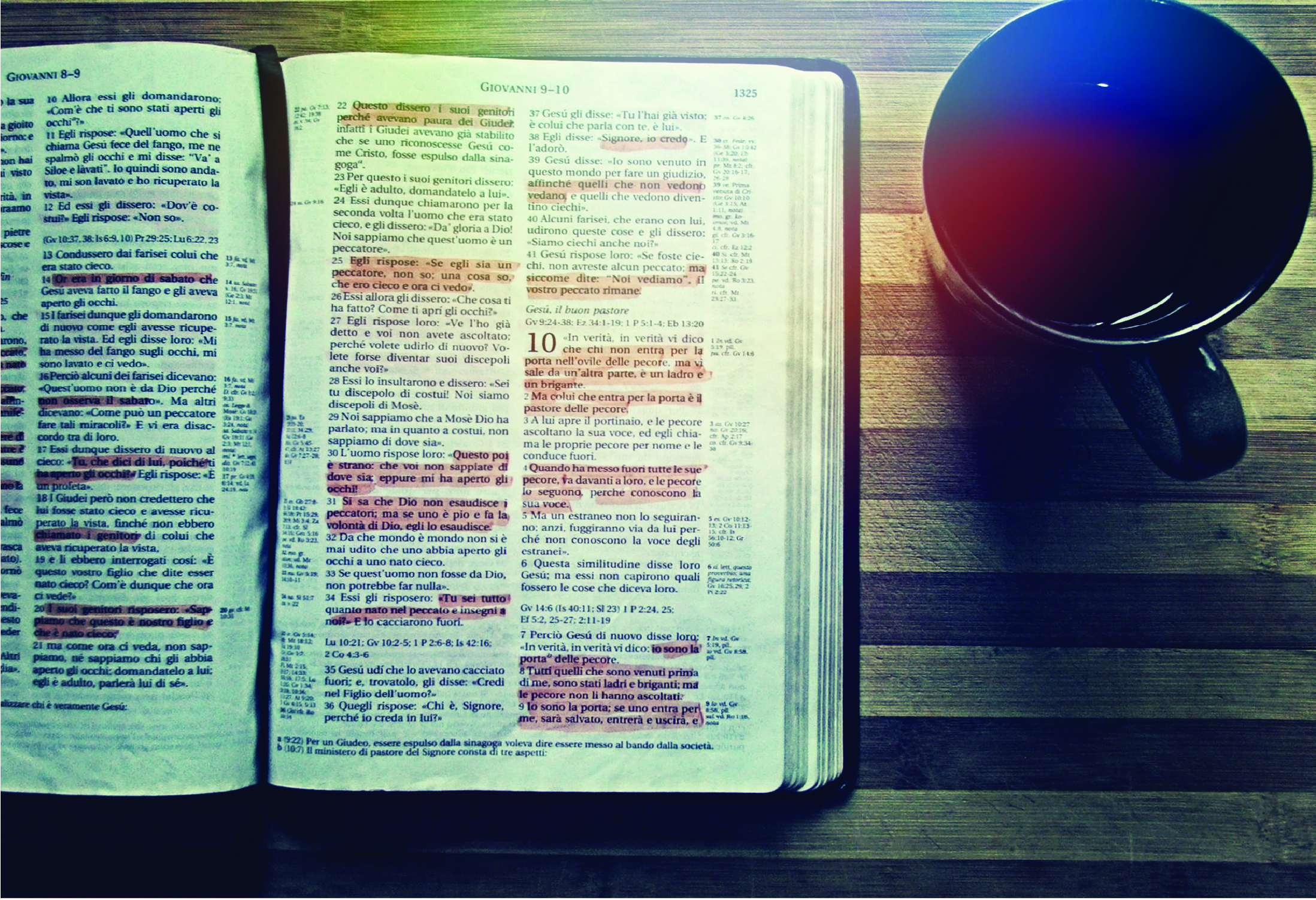 5 Tips on How to Study the Bible